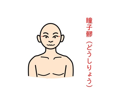瞳子髎 瞳子髎 鍼灸,ツボ,経穴,健康,東洋医学,瞳子髎のイラスト素材