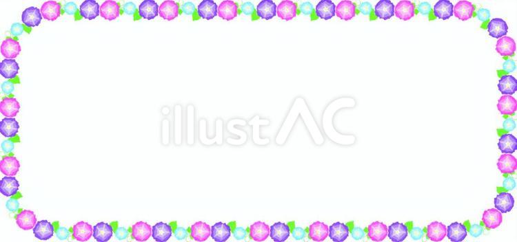 朝顔　 朝顔,花,咲くのイラスト素材