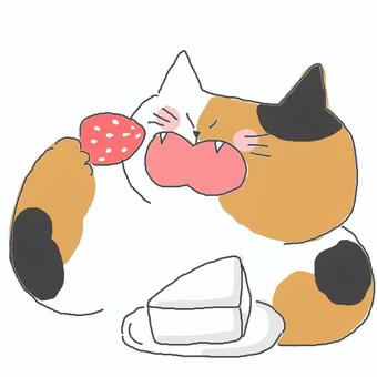 ショートケーキを食べる三毛猫ちゃん♪ かわいい,ショートケーキ,ケーキ,デザート,スイーツ,甘い,いちご,果物,フルーツ,たべもののイラスト素材