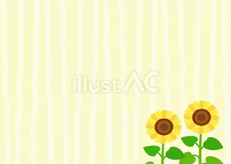 夏のひまわりの背景 夏,ひまわり,背景のイラスト素材