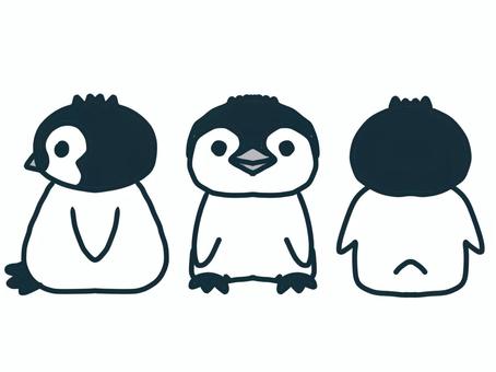 正面　横　後ろ　ペンギン ペンギン,前後,横,赤ちゃん,海,生き物,後ろ姿,水族館,動物園のイラスト素材