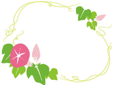 Illustration, morning glory, flower, pink, 