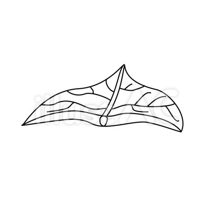 葉_Leaf