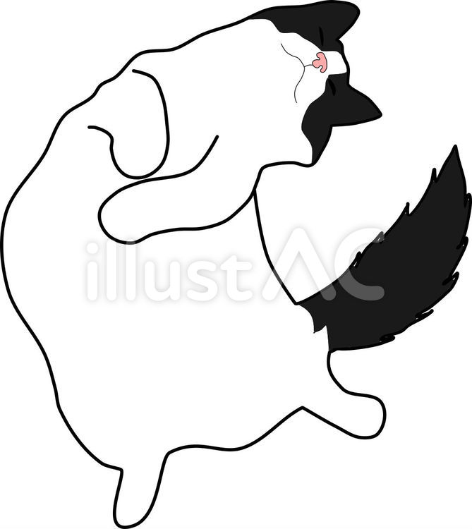 もふもふさんころりんちょ ネコ,動物,ハチワレのイラスト素材
