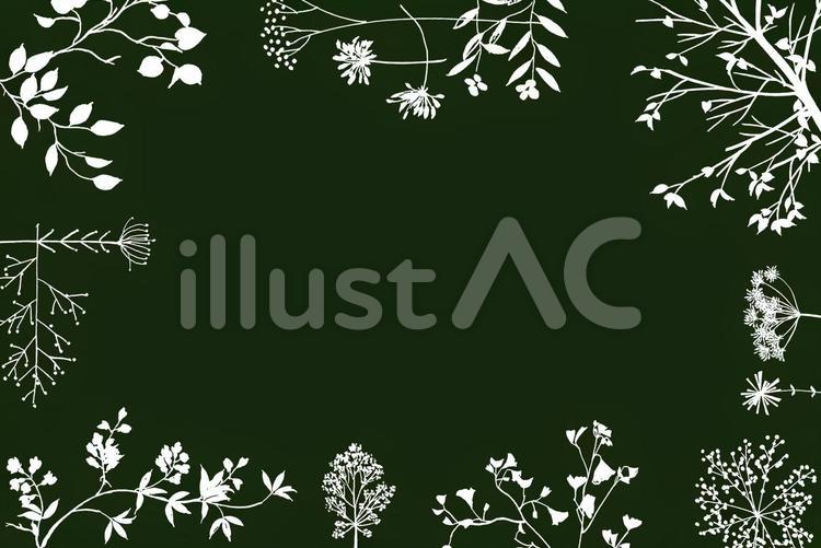 線描き草花 草花,植物,フレームのイラスト素材