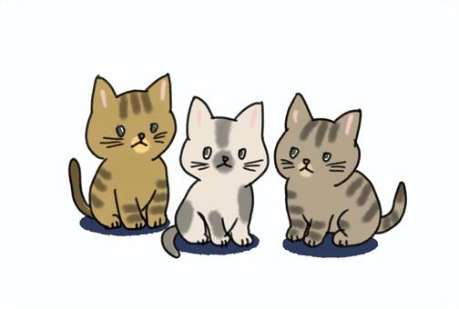 3匹の子猫 こねこ,猫,3匹,にゃん,迷子,かわいいのイラスト素材