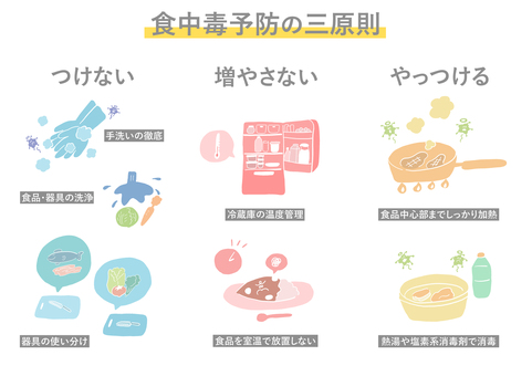 食中毒予防の三原則＿カラー線消 食中毒,予防,原則,つけない,増やさない,やっつける,菌,ウイルス,手洗い,洗浄のイラスト素材