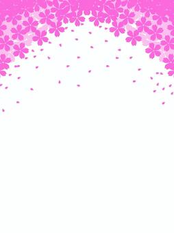 桜・フレーム 桜,花弁,花,フレーム,舞うのイラスト素材