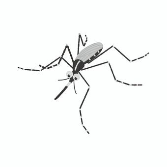 蚊 蚊,やぶ蚊,害虫,夏,虫,虫刺され,吸血,吸血虫,伝染病のイラスト素材