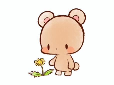 くまさんとタンポポ くま,タンポポ,春,可愛い,挿絵,花,動物,ゆるキャラ,手書きのイラスト素材