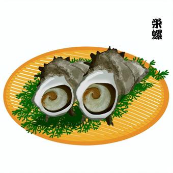 サザエ サザエ,巻貝,貝,食用,海産物のイラスト素材