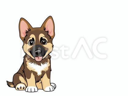 白バックに可愛いシェパードの子犬
