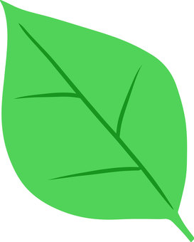 葉illustration_line, JPG, PNG 和 AI 葉illustration_line, 叶子, 绿茵, 植物, JPG, PNG 和 AI
