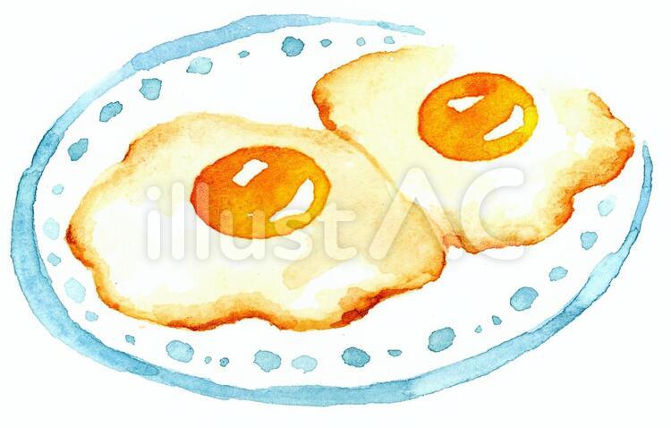 目玉焼き2つ水彩 目玉焼き,卵料理,食べ物のイラスト素材