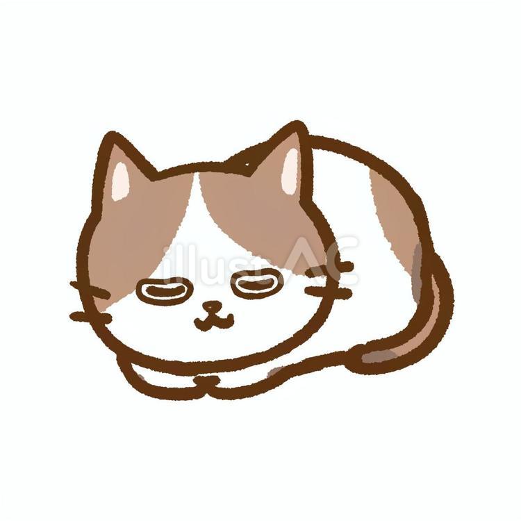 香箱座りで寝ているぶち猫ちゃん 香箱座り,寝る,猫のイラスト素材