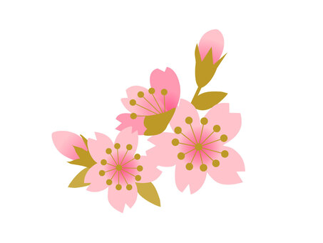 Illustration, april, cherry blossoms, spring, 