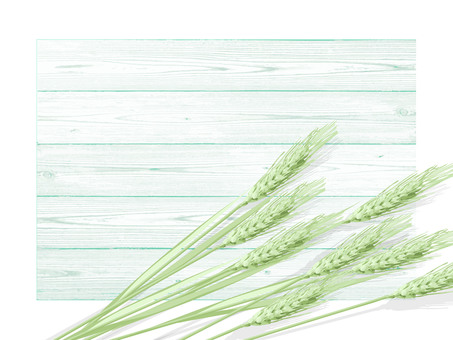 青々した緑の麦穂と板の背景1　015 麦穂,青々,リアル,緑,ナチュラル,お洒落,自然,植物,大人っぽい,枠のイラスト素材