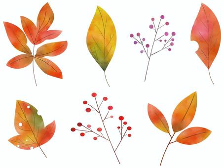 秋の葉セットver06 水彩,秋,葉っぱ,紅葉,植物,9月,10月,11月,落ち葉,おしゃれのイラスト素材