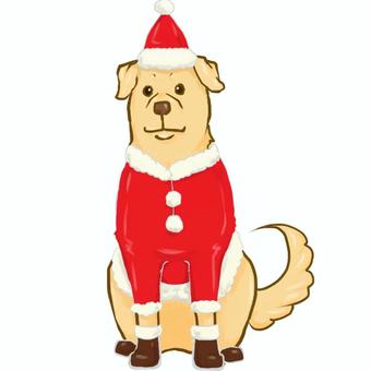 サンタ犬　2 クリスマス,いぬ,サンタ,コスプレ,動物のイラスト素材