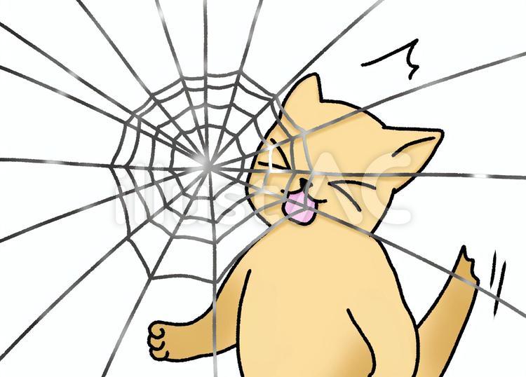 蜘蛛の巣が顔にひっかかる犬のイラスト 動物,生き物,犬のイラスト素材