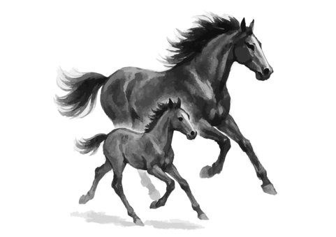 親子馬の水墨画シルエット年賀状素材セット 馬,家族,親子,筆絵,水墨画,年賀状,墨絵,賀年,干支,午年のイラスト素材