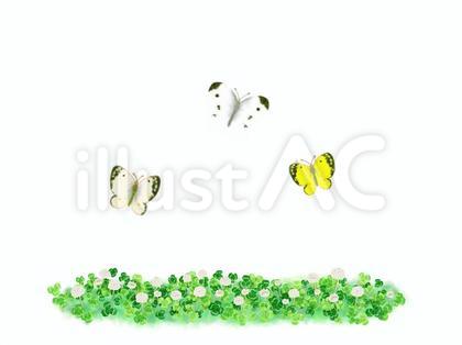 白詰草畑の蝶 背景無し