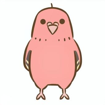 アキクサインコ1（ローズ） アキクサインコ,インコ,鳥,ペット,デフォルメ,生き物,動物,かわいい,アイコンのイラスト素材