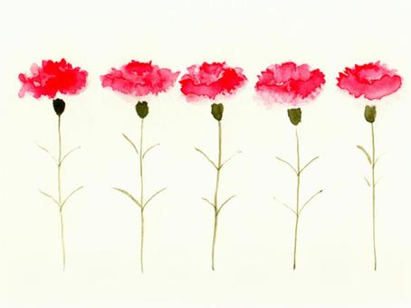 カーネーション 母の日,ありがとう,母親,感謝,赤い花,水彩,手描き,ナチュラル,自然,シンプルのイラスト素材