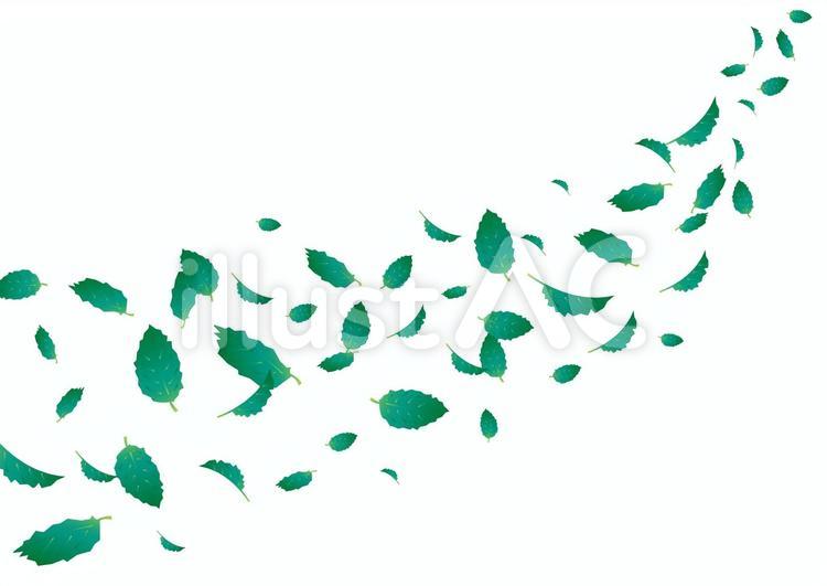 宙に舞う新緑の葉 新緑,葉,舞うのイラスト素材