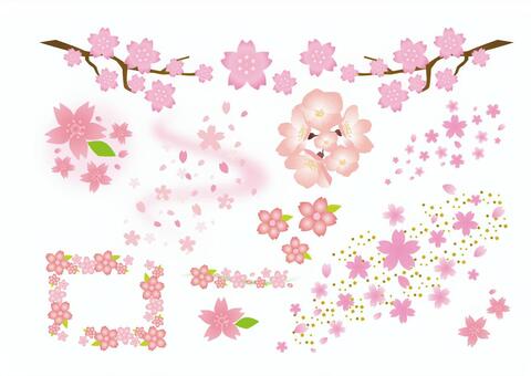 Cherry Blossoms, شجرة الكرز, ربيع, ربيع, JPG and AI