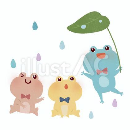 雨の日カエル