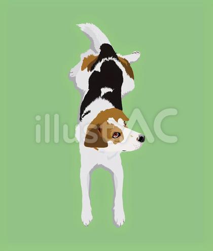 コーギー インテリアアート インテリア雑貨 ポストカード 犬