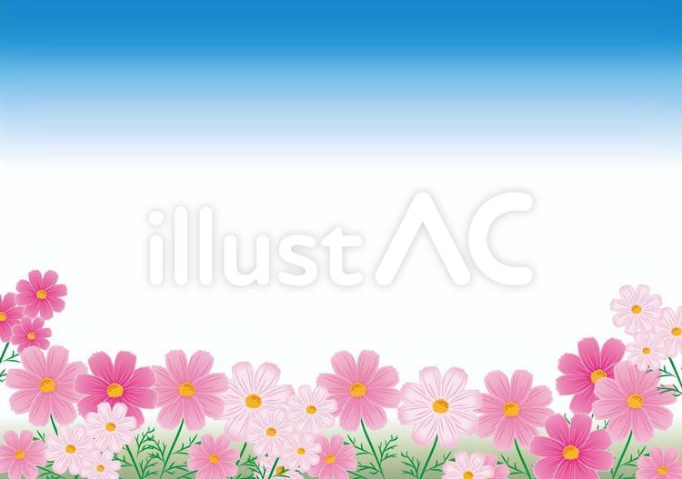 コスモス畑風景 秋桜畑,コスモス畑,囲み枠のイラスト素材
