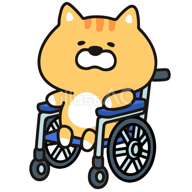 車いすのねこ 猫,ネコ,動物のイラスト素材