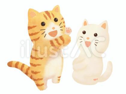 茶虎猫と白猫
