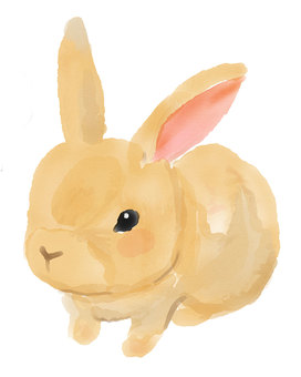 水彩うさぎ 水彩うさぎ 水彩,うさぎ,動物のイラスト素材