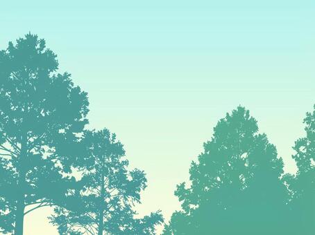 木々に囲まれた森のシルエットカラー 森,林,木,樹木,シルエット,自然,風景,森林,木立,枝のイラスト素材