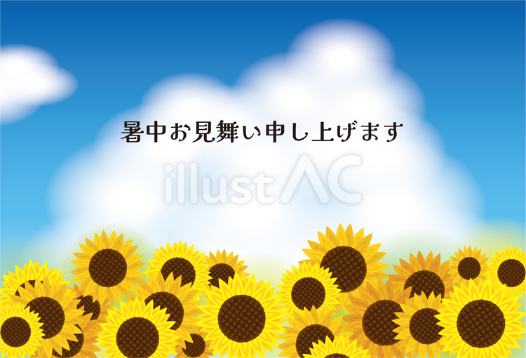 ひまわりの暑中見舞い葉書横2 ひまわり,暑中見舞い,風物詩のイラスト素材