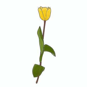 Tulip2yellow, JPG and PNG Tulip2yellow, spring, tulip, flower, JPG and PNG