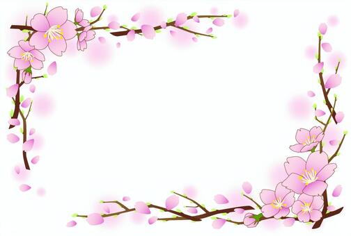 桜のポストカード 2015・横 桜のポストカード 2015・横 絵はがき,桜色,余白のイラスト素材