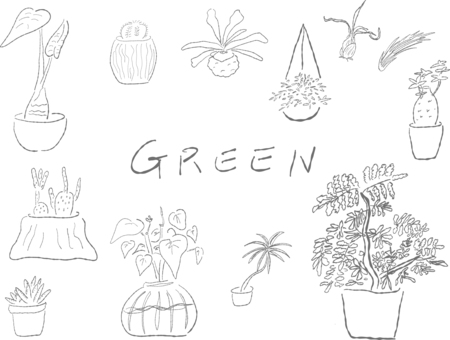 観葉植物＿線画 植物,グリーン,みどり,サボテン,手書き,手作り,ゆるい,シンプル,オシャレ,おしゃれのイラスト素材