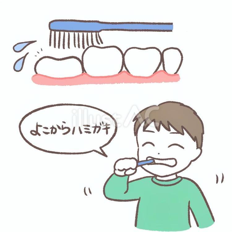 生えかけの永久歯の磨き方 歯,歯科,ゆるいのイラスト素材