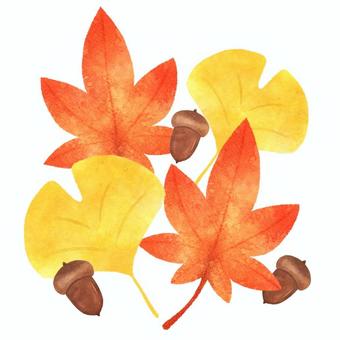 水彩風秋テーマのワンポイントイラスト 落ち葉,紅葉,イチョウ,銀杏,どんぐり,ドングリ,手描き,手書き,水彩,背景透過のイラスト素材