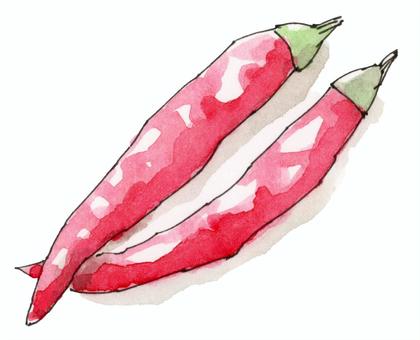 とうがらし 唐辛子,鷹の爪,辛味,薬味,野菜,家庭菜園のイラスト素材