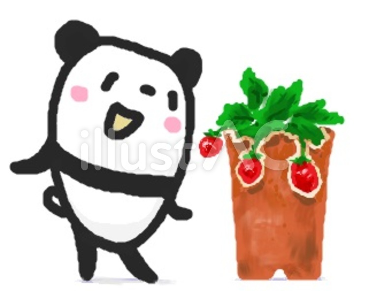 パンダ　「いちごの苗」 パンダ,イチゴ栽培,いちごのイラスト素材