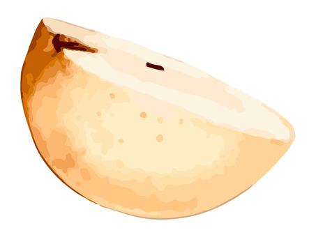 水彩で描いた梨 梨,果物,フルーツ,ナシ,食べ物,デザート,カット,秋,夏,種のイラスト素材