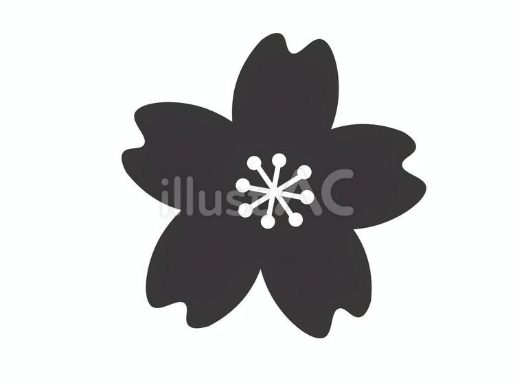 桜7 桜,八重桜,花見のイラスト素材