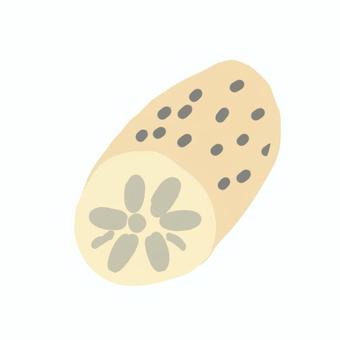 レンコン 蓮根,秋,秋の味覚,秋野菜,冬,冬の味覚,野菜,根菜類,れんこん,やさいのイラスト素材