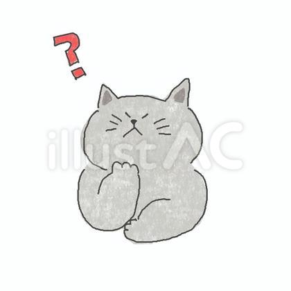 分からないねこちゃん♪
