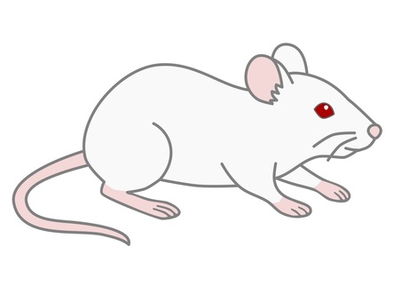 マウス23 マウス,ラット,ネズミ,実験,バイオ,研究,シンプル,かわいい,生物,ハツカネズミのイラスト素材